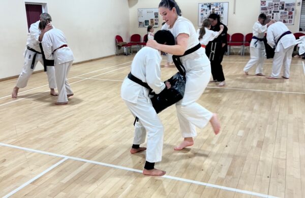 Teen & Adult Karate